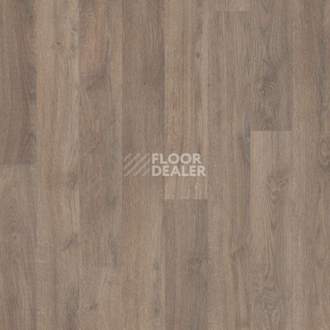 Линолеум Forbo Eternal Wood 11952 steamed oak фото 1 | FLOORDEALER